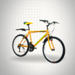 VELO VTT 24 MTB INOUT