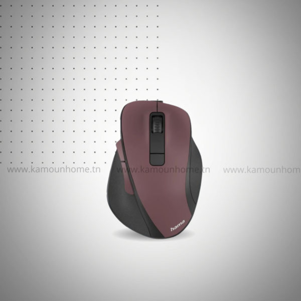 Souris Sans Fil Hama Mw-500 V2