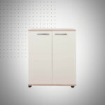 Porte Chaussure Classique 2P