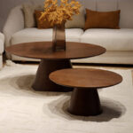 ENSEMBLE DE 2 TABLES BASSES CONE