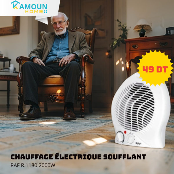 Chauffage électrique soufflant RAF R.1180 2000W