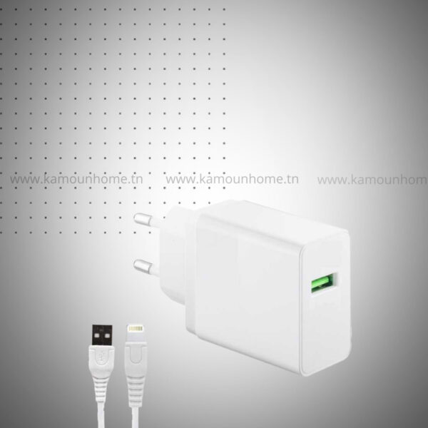 Chargeur Prince SRB350 USB-Lightning