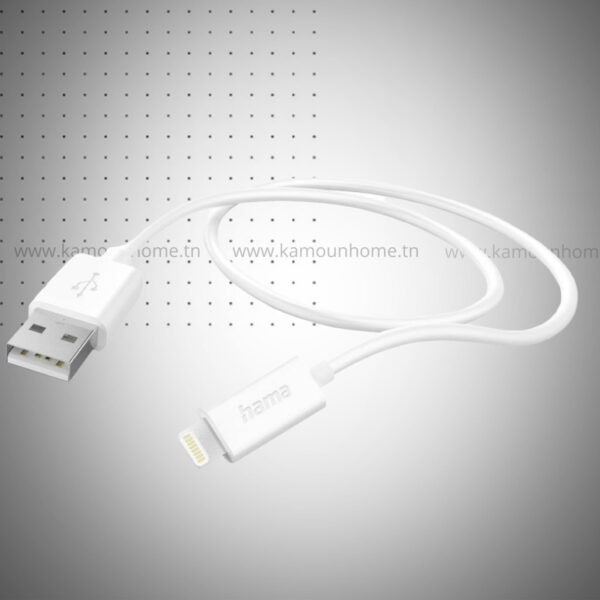 HAMA CABLE DE CHARGE USB A LIGHTNING 1M