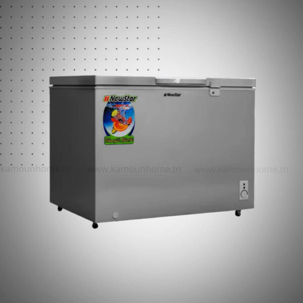 CONGELATEUR NEWSTAR CG240 200L