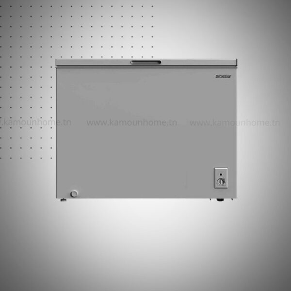 CONGÉLATEUR HORIZONTAL NEWSTAR CG340 340L - SILVER